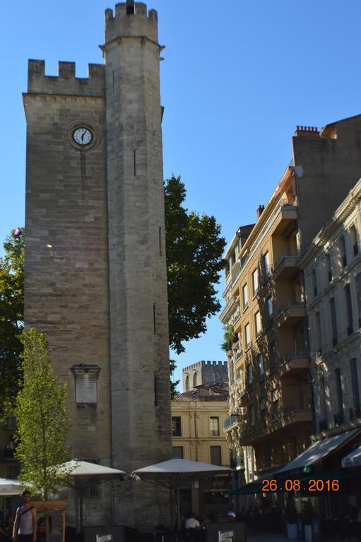 Appartement Hyper Centre D'avignon Avignon